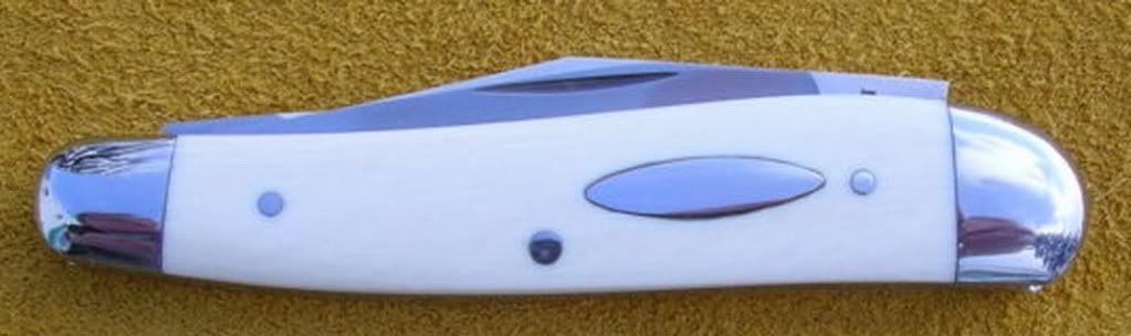 hornetholley001-11.jpg