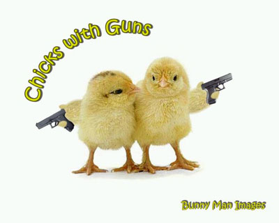santoshsnnet__chickswithguns.jpg