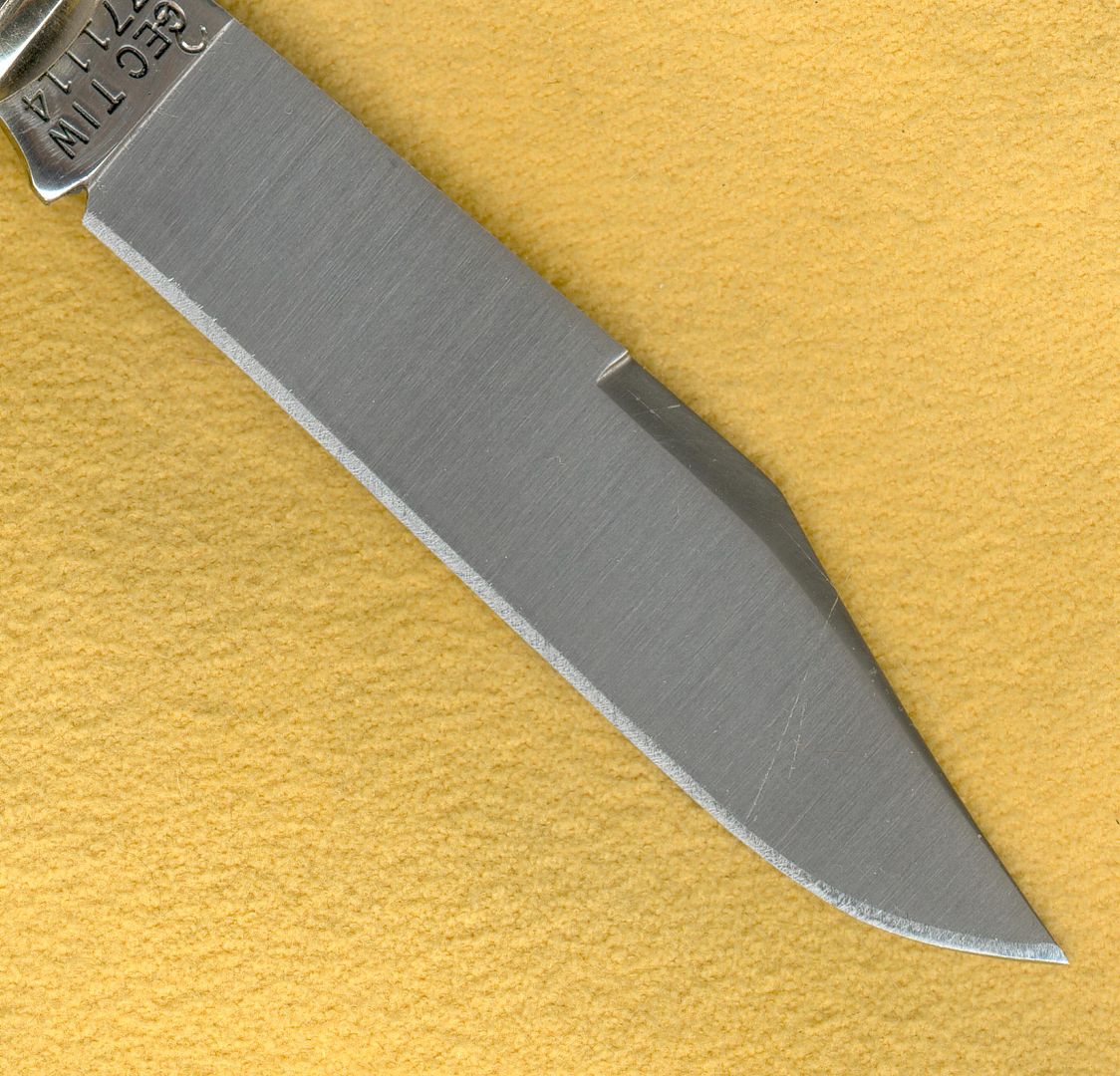 BFuser5_zps86902c6e.jpg