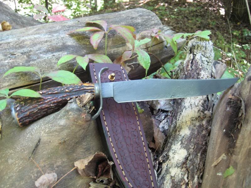 Camererbowie5.jpg