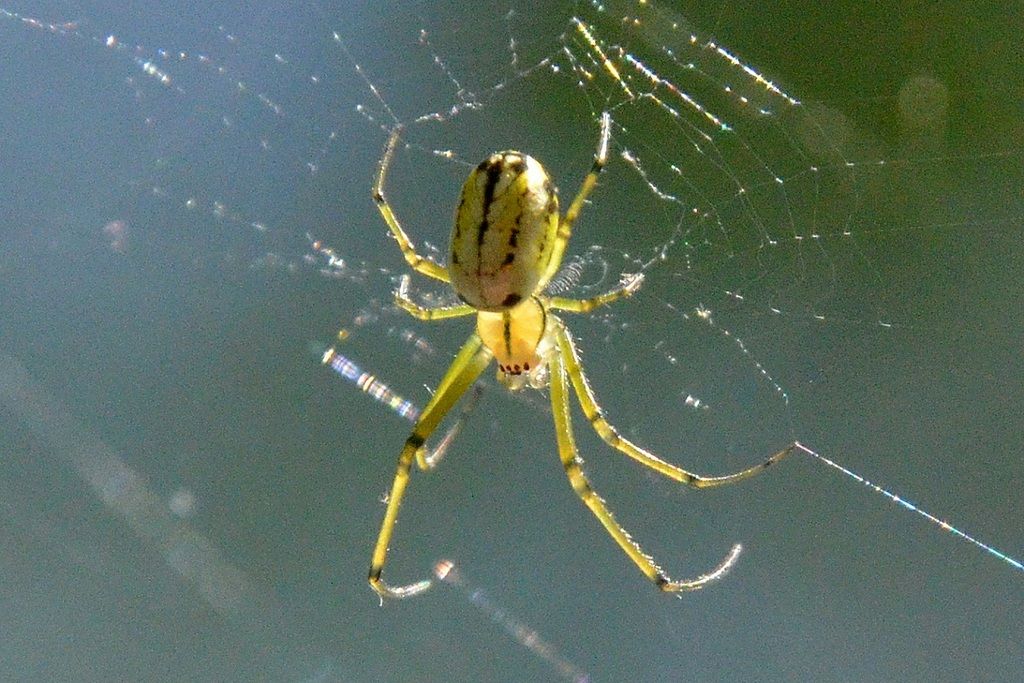 AHBSH-21.jpg