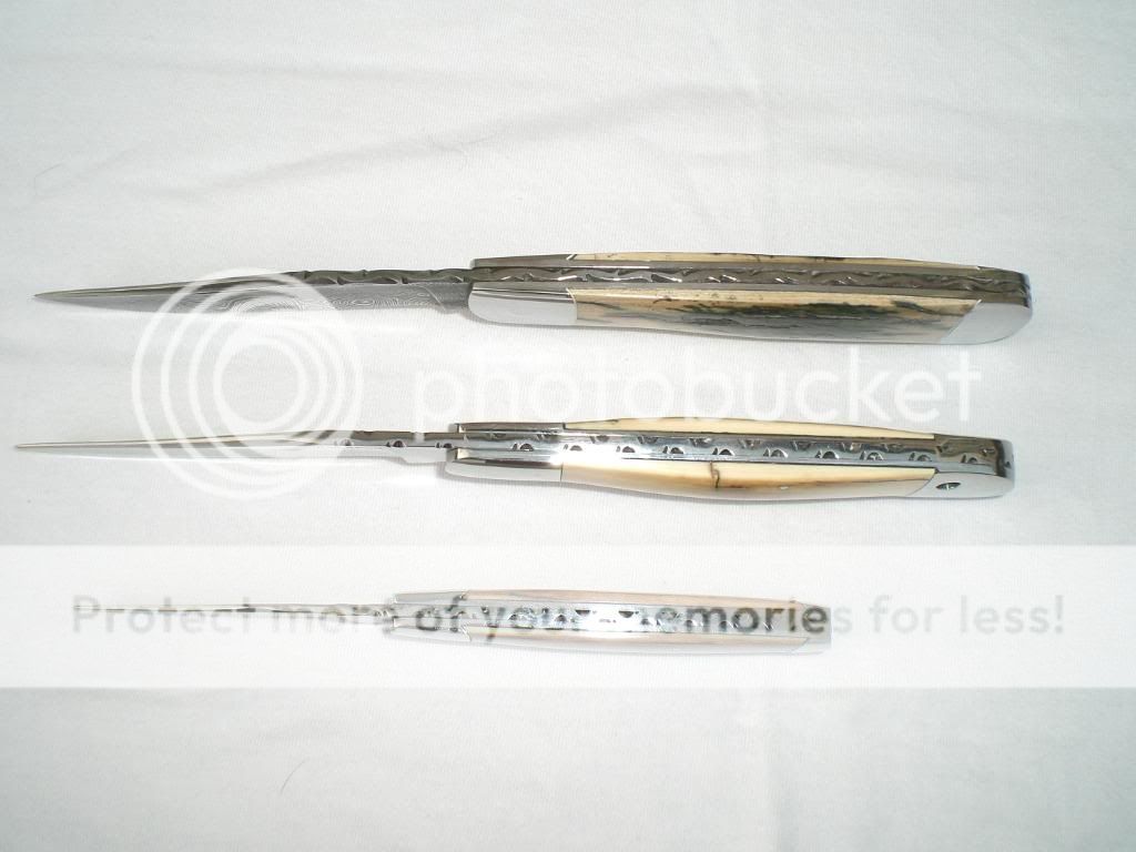 CIMG0284.jpg