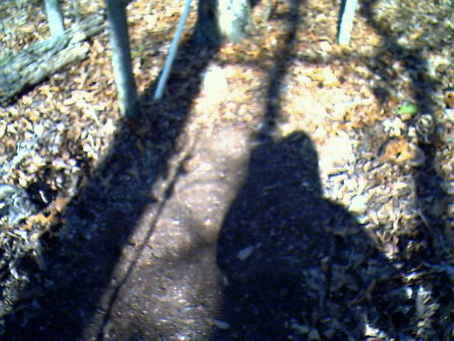 IMG00934.jpg
