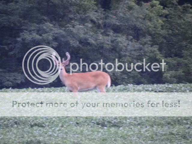 SonyPictures039_1_.jpg