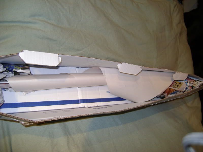DSC01231.jpg