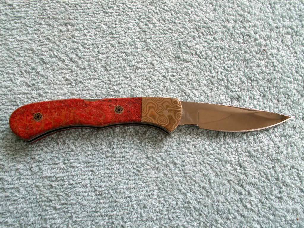 AppleCoral532b.jpg