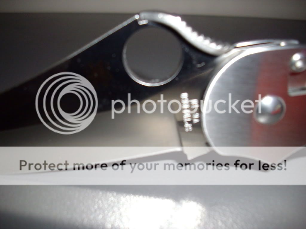 IMGP0055.jpg