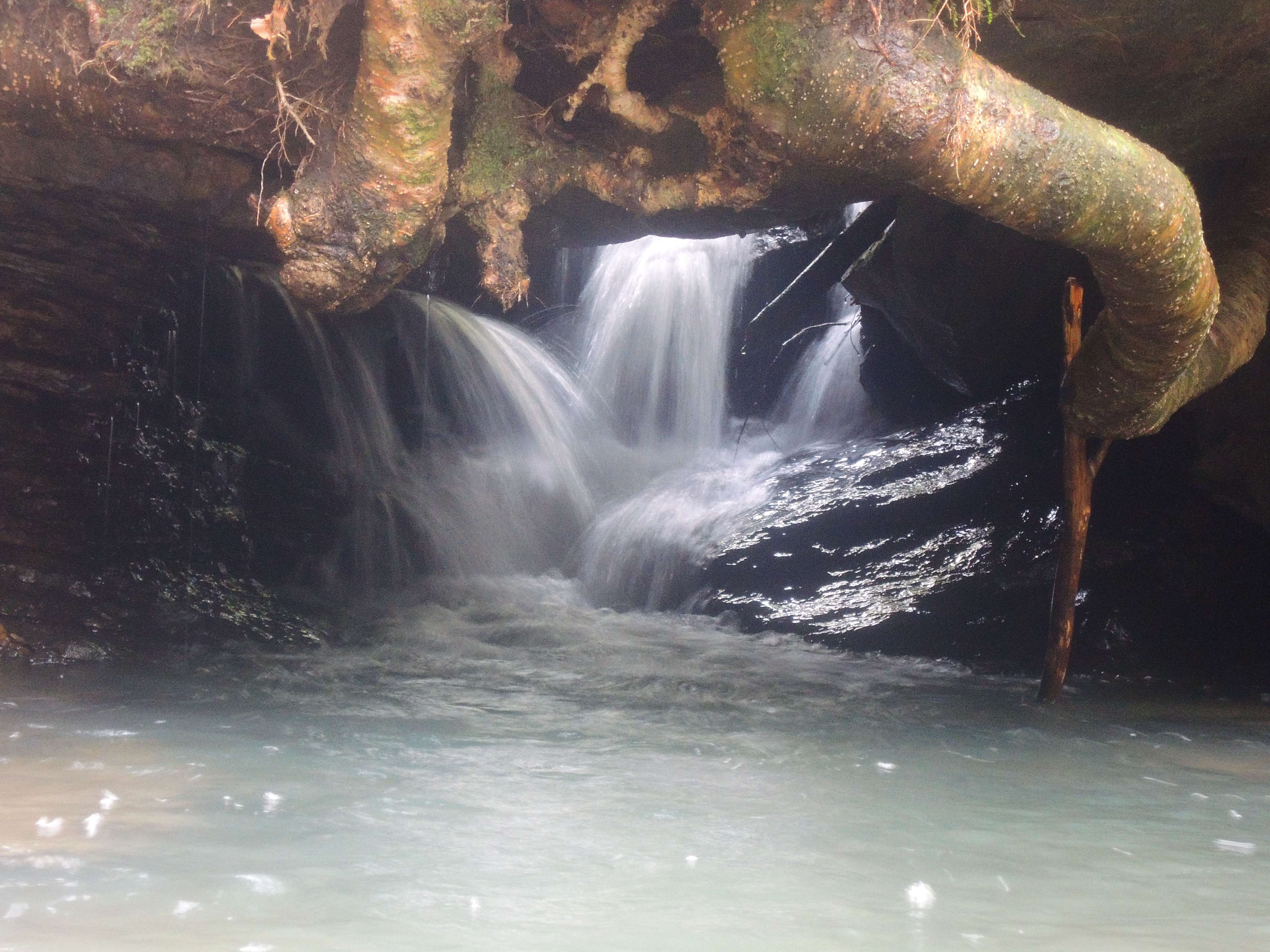 dscn5022m.jpg
