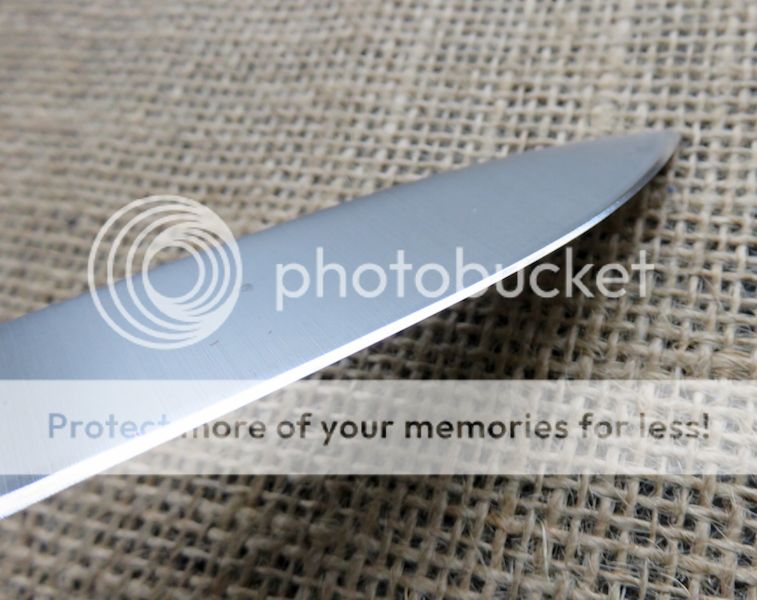 IMG_1450.jpg~original