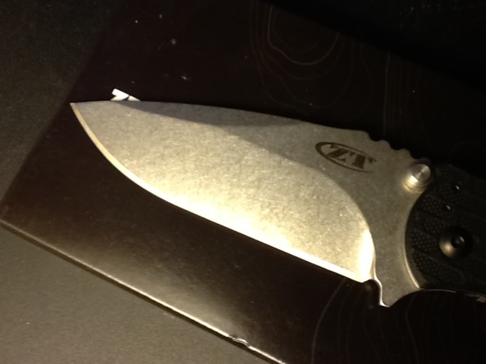 ZT4.jpg