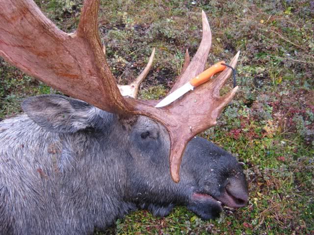 fall2010022.jpg