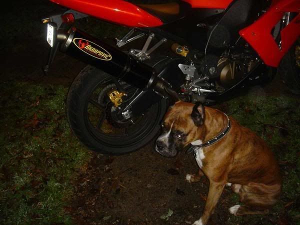 BAronandZX10.jpg