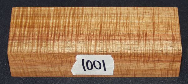 1001a.jpg