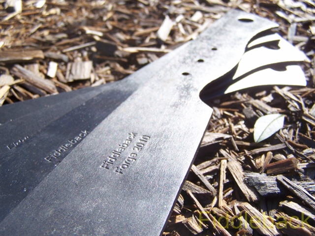 20100103100_3703-vi.jpg