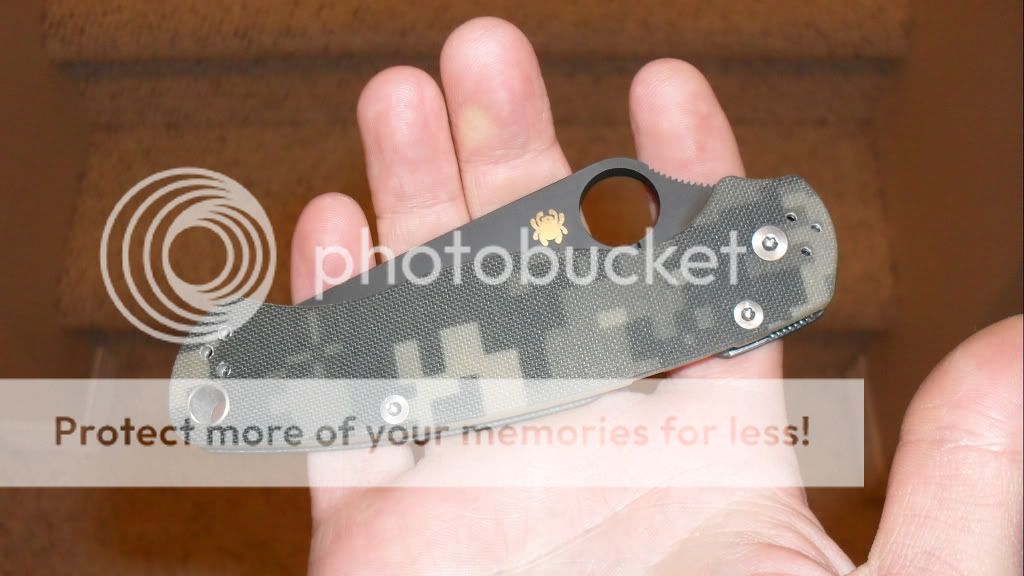 Paramilitary2-3.jpg