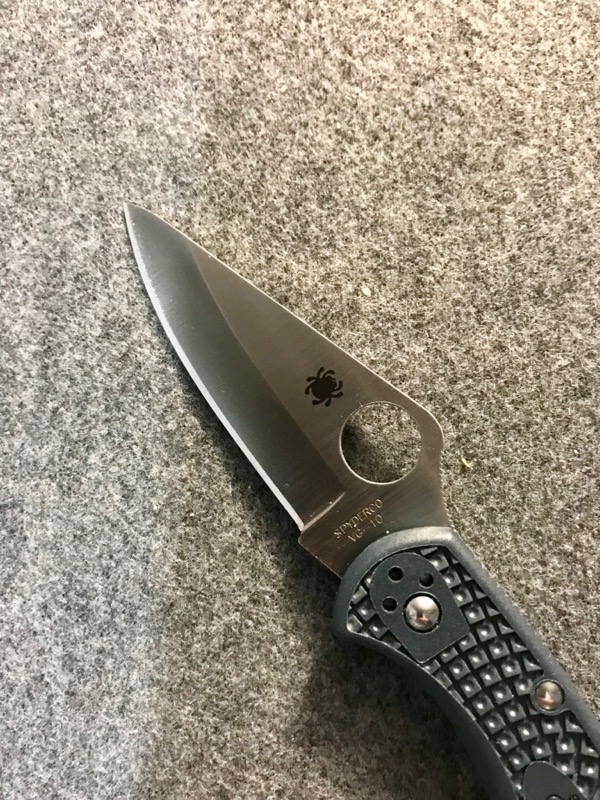 SDFSSpydercoDelica2-1.jpg