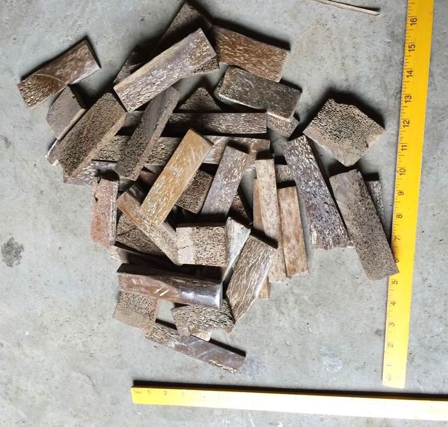 BONE2_zps8e8c0675.jpg
