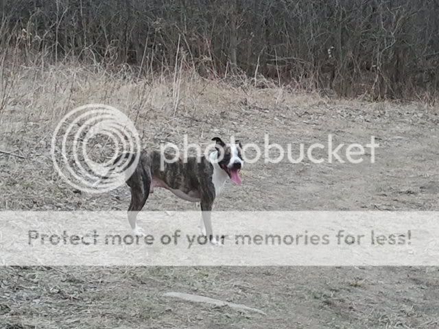2012-03-17131408.jpg
