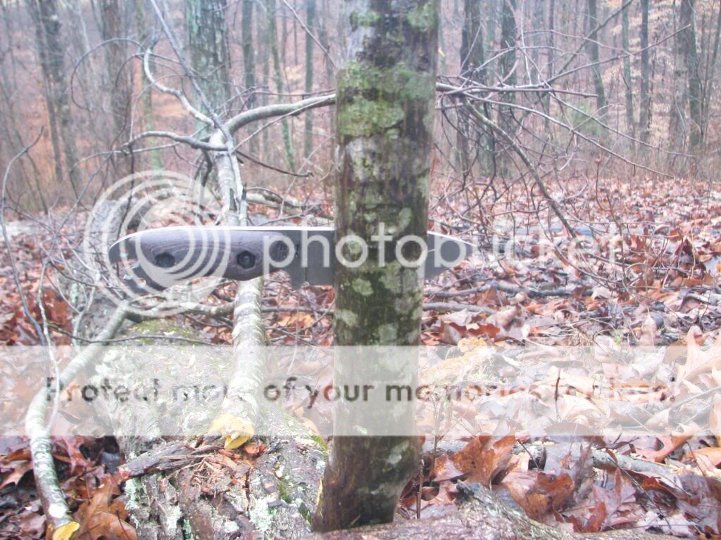 IMG_3452_zps4614b79c.jpg