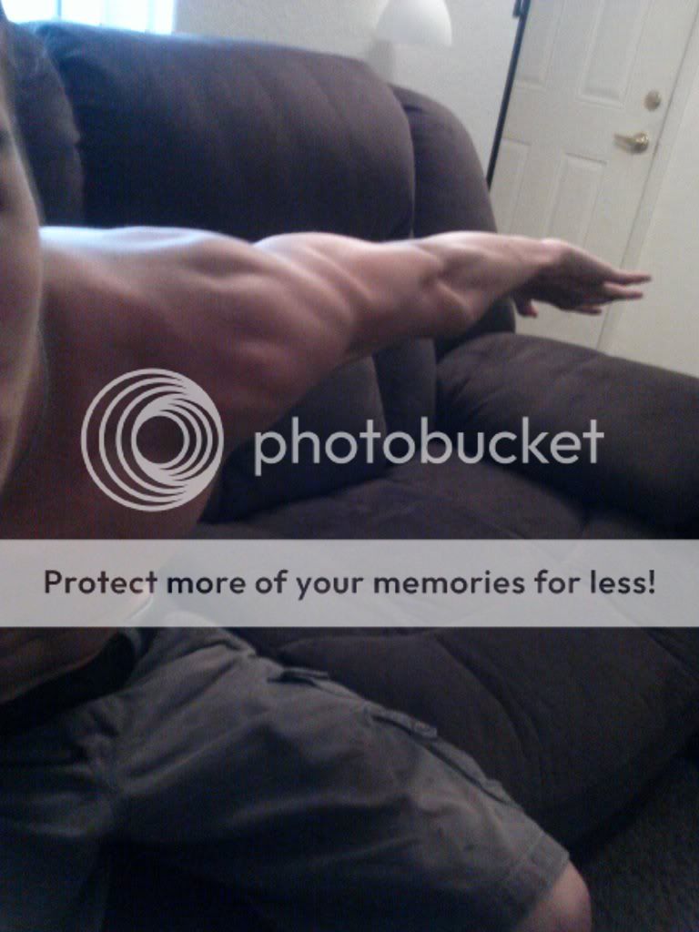 CAM00379_zps460eea66.jpg