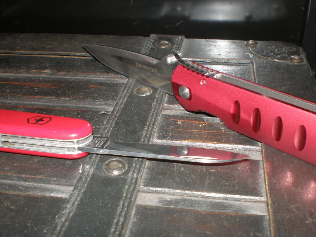 brownsak002.jpg