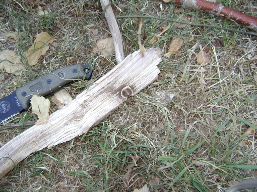 ESEE--otispics029.jpg