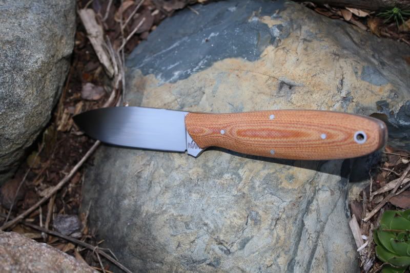 WillowLeaf002.jpg