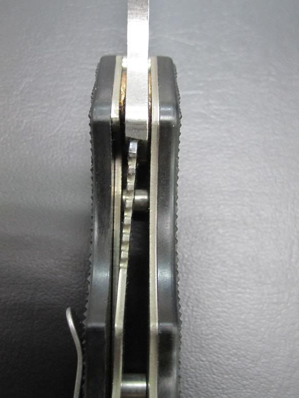 BuckStriderSolidLockUp.jpg