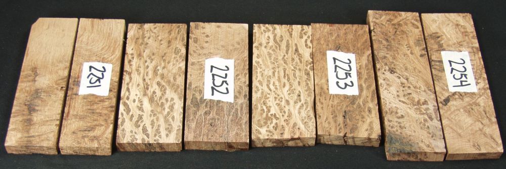 2a-43.jpg
