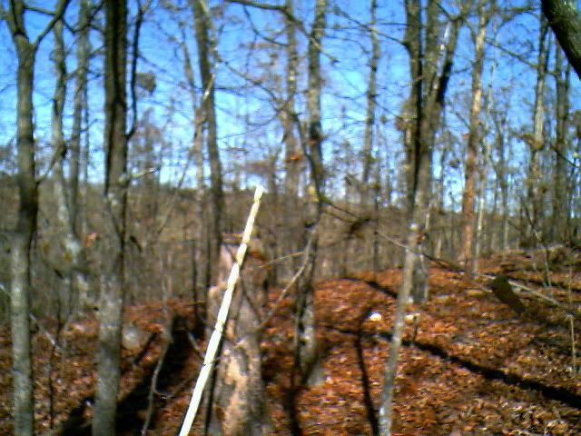 IMG00925.jpg