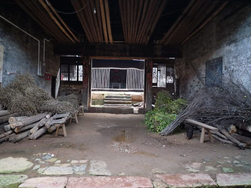 P1000896.jpg