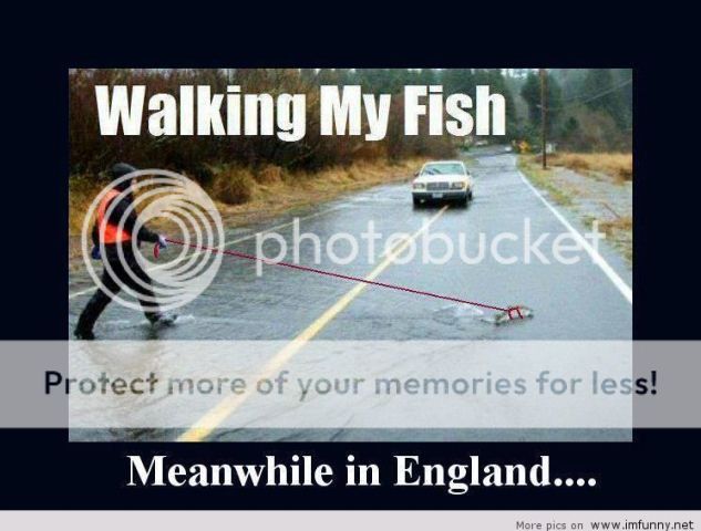 Meanwhile-funny-England.jpg