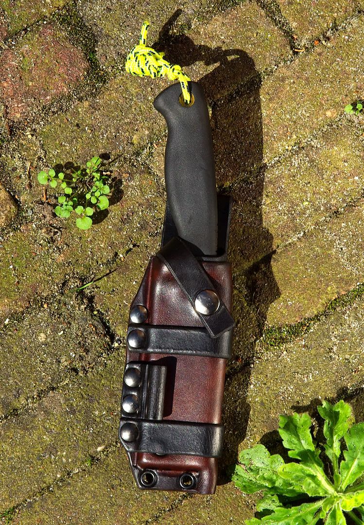 Bandicoottechnicalsheath02.jpg