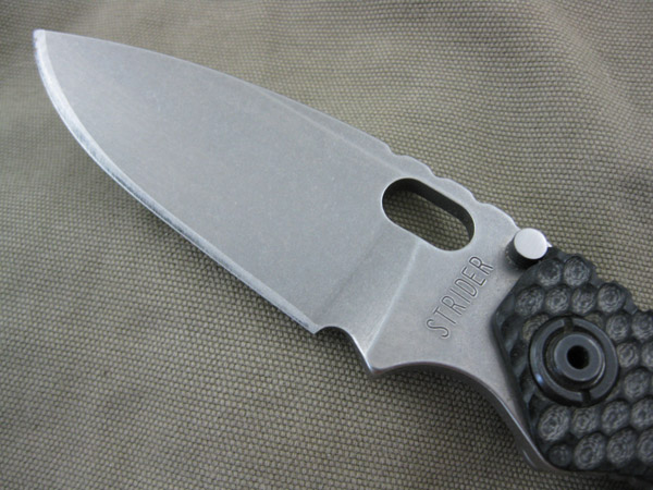 StriderDGG_SnG_004.jpg