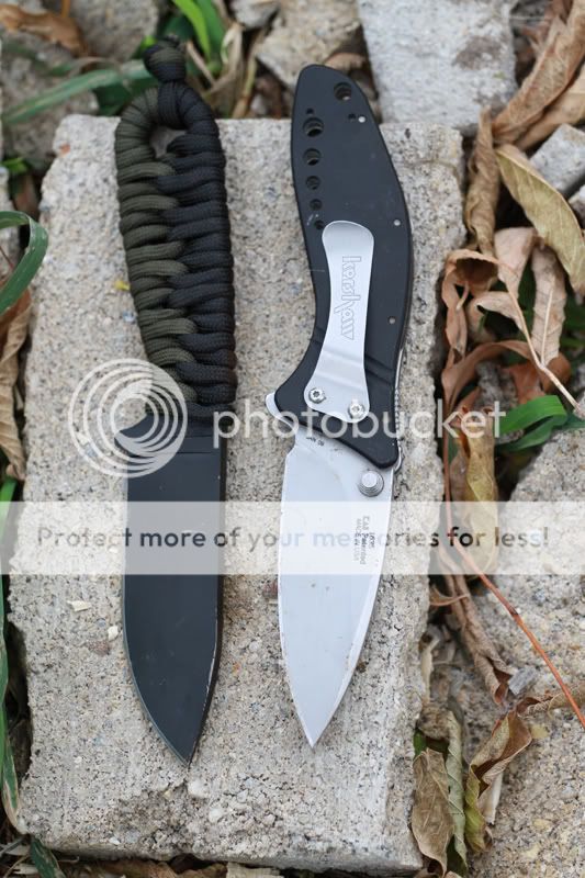 test7.jpg