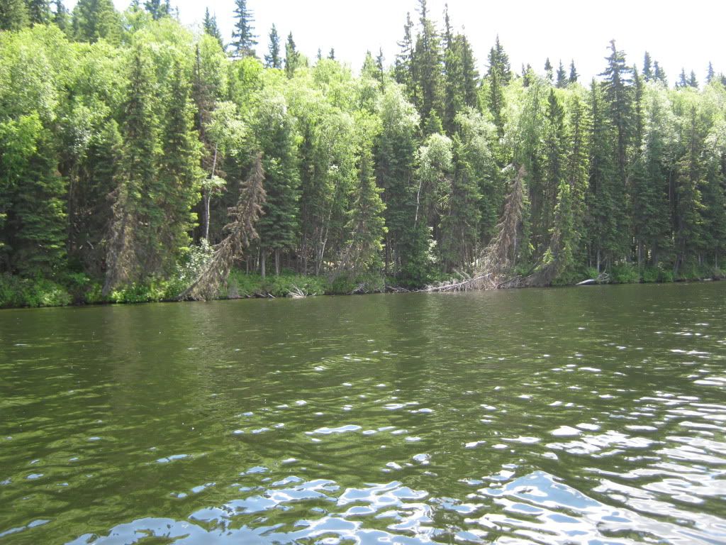 07-08-2010025.jpg