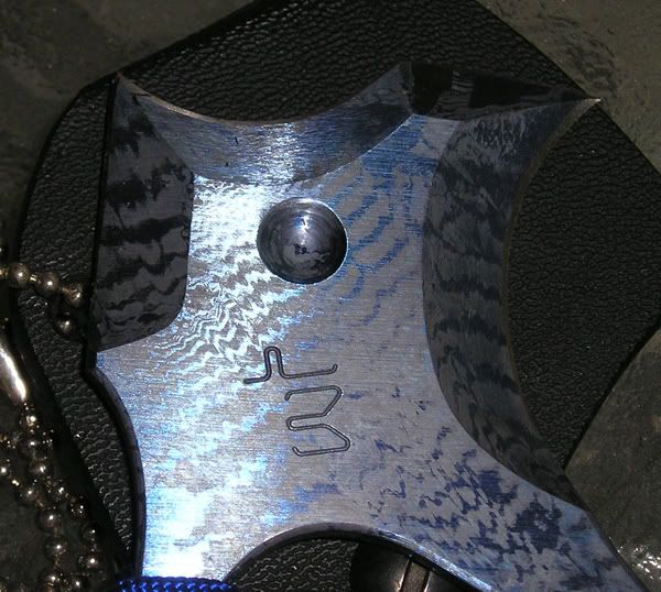 WT-HAK1.jpg