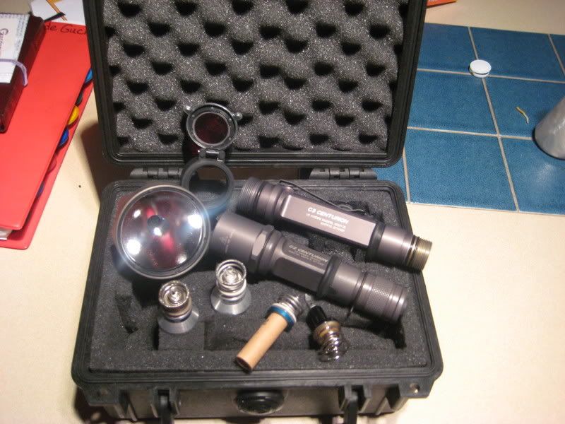 pelicancaseofun.jpg