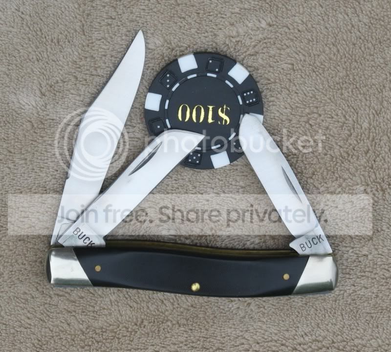 Buck_301_B.jpg