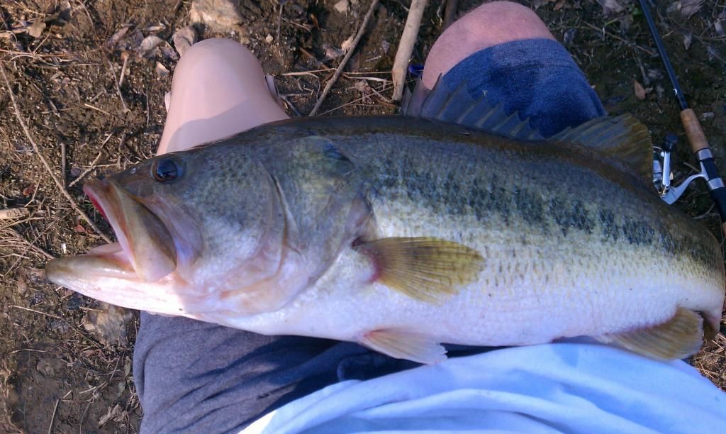 112312pondhog.jpg