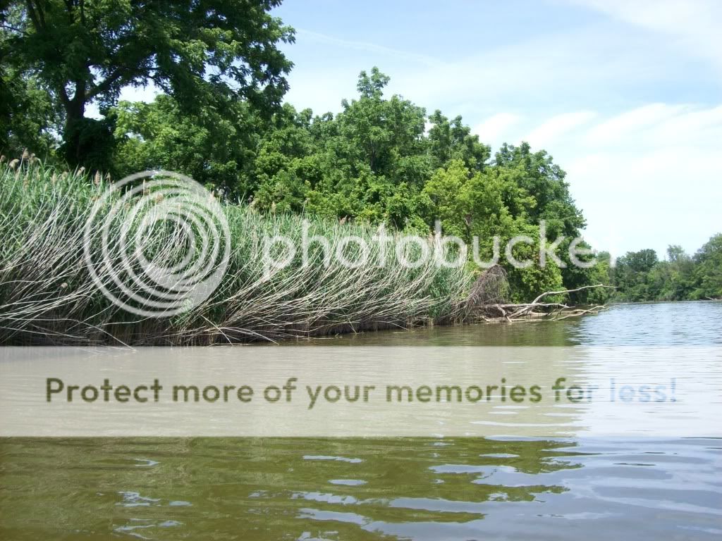 Rivertrip022.jpg