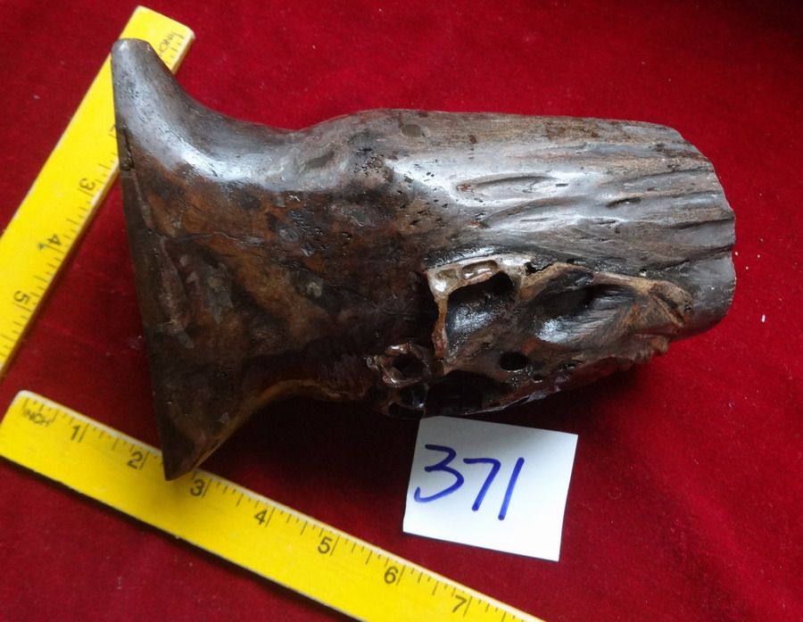 ancientbisonhorn3_zpsae190663.jpg