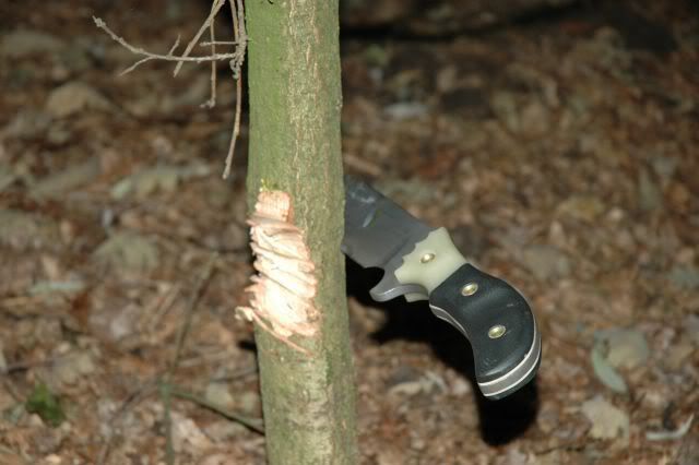 Afbeelding041.jpg