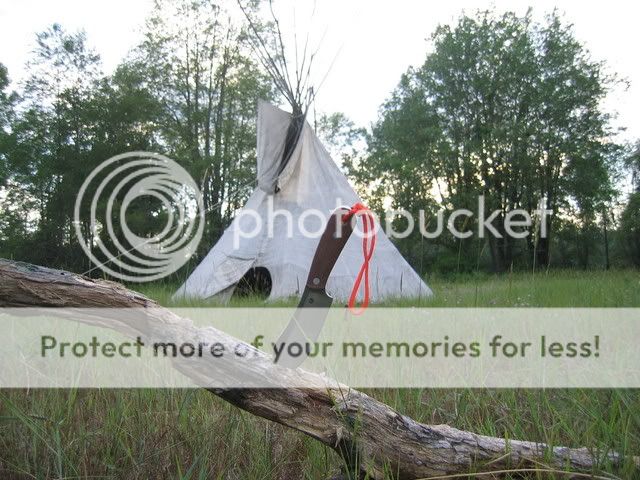 IMG_1352.jpg