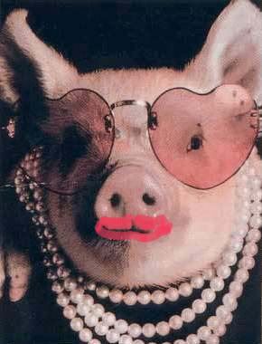 lipstickPig.jpg