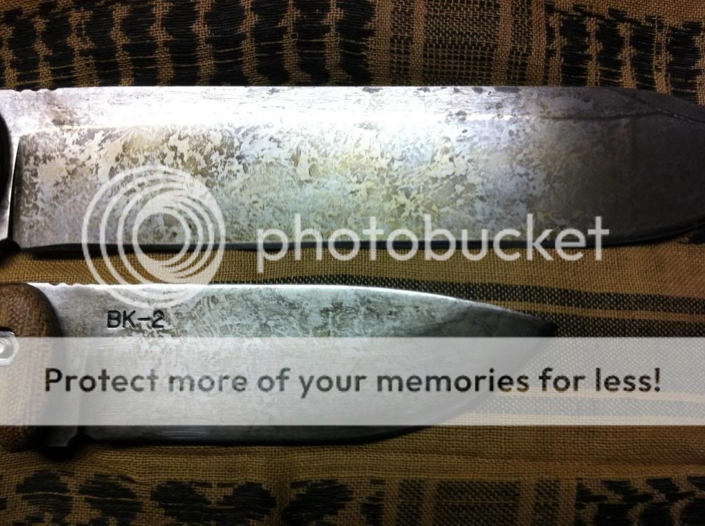 photo21.jpg