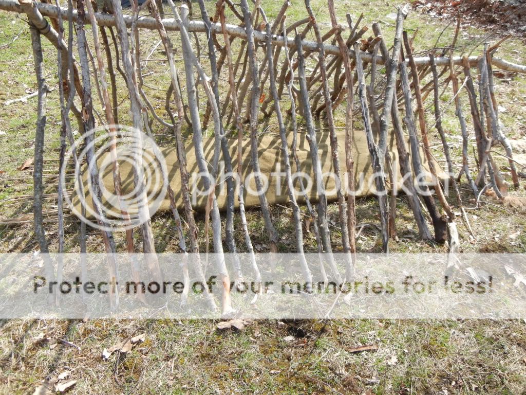 Newpics021-1.jpg