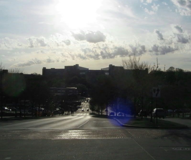 IMG_3326.jpg