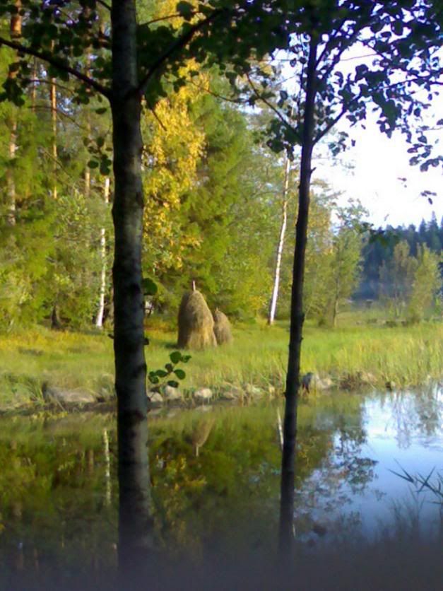 Hayput-upbythelake.jpg