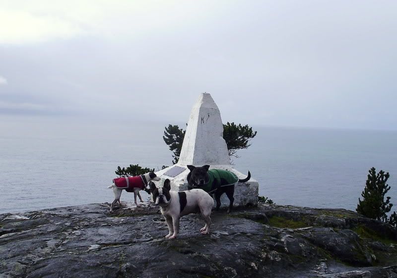 P3120010-1.jpg